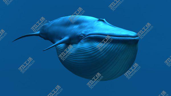 images/goods_img/20210312/3D Blue Whale/5.jpg